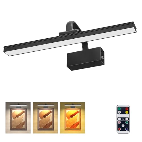 Image of RAIFOOLLY Picture Light, 16inch Picture Lights for Wall Cordless with Timer and Dimmable, 5000mAh Battery Wall Lights for Display Gallery Painting Art Frame Portrait-Black