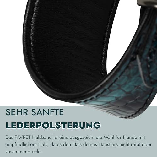 FAVPET Luxus Echtleder Windhund Halsband Breit mit QR Code Anhänger, Weiches Lederhalsband Hund Breit Whippet Italienisches Windspiel Saluki Lurcher Spanischer Galgo Greyhound Podenco (Grün, XS)