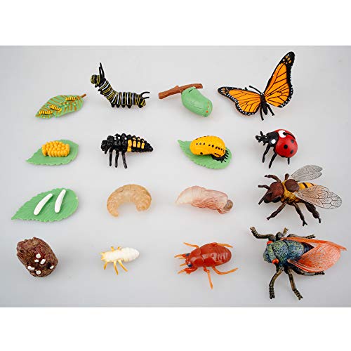 TOYMANY 16PCS Insect Figurines Life Cycle of Monarch Butterfly,Honey Bee,Cicada,Ladybug, Plastic Caterpillars to Butterflies Bug Figures Toy Kit Educational School Project for Kids Toddlers