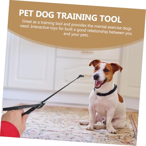 Dog Training Using balacoo Flexible Pet Accessory