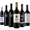 Rotwein Probierpaket “Alentejo” Portugal trocken (6x 0,75 l)