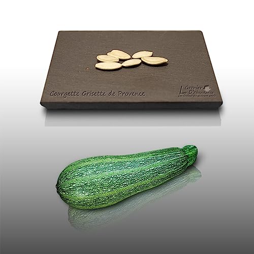 5 graines à semer - Le Grenier d'Abondance - COURGETTE Grisette de Provence - Curcubita Pepo
