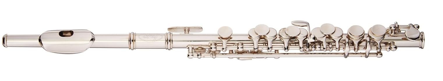 Sky(Paititi) Band Approved Nickel Plated with Silver Keys Piccolo Key of C with Hard Case, Cloth, Cleaning Rod, Joint Greasae and Screw Driver, Guarantee Top Quality Sound