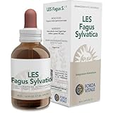 LES FAGUS SYLVATICA 50 ML FORZA VITALE
