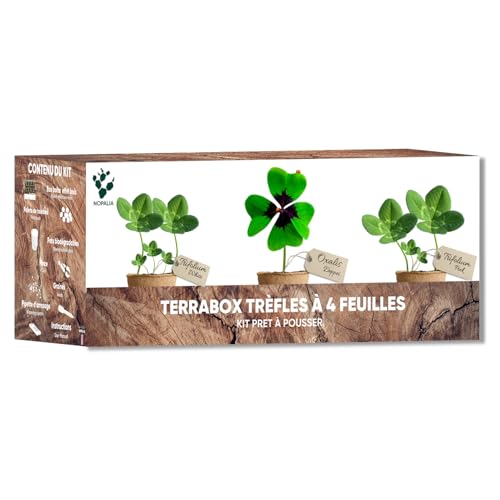NOPALIA® Kit de Trébol de 4 Hojas de la Buena Suerte – Semillas Bio Oxalis Deppei, Trifolium Blanco & Rosa – Regalo Inusual para Mujer y Hombre – Jardín Interior DIY Suerte y Decoración – regalo de