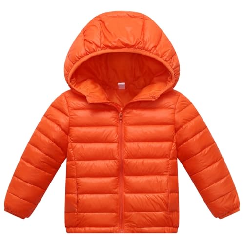 [HongzyFirm] q _ER[g _EWPbg LbY AE^[ - o[Vu R[g h h ̎q j̎q xr[ c y  n t[ht H~ _E WPbg q t H ~ ۉ g ʉ ʊw