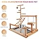 Wellensittich Spielplatz,Vogelspielplatz aus Holz,Papageienspielständer mit Feeder Cup,Spielzeug Leiter Erklimmen Schaukel und Tablett,Vogelspielzeug Spielplatz Vogel-Spielplatz,Papageienspielzeug