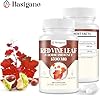 Basigano Red Vine Leaf & Horse Chestnut Extract Capsule Supplements (Vitis Vinifera) 1500mg -Premium Extract for Healthy Veins, Circulation, Heart, Skin (2 Pack)