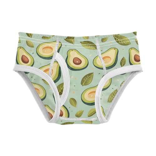 Wusikd Avocado Leaves Boys' Underwear Cotton Boys Briefs Soft Toddler Underwear 2T