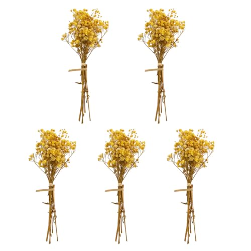 Ramo de Flores Secas Preservadas Gypsophila Babysbreath Amarillo