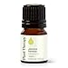Plant Therapy Jasmine Absolute Essential Oil 100% Pure, Undiluted, Natural Aromatherapy, Therapeutic Grade 2.5 mL (1/12 oz)