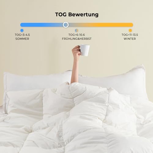 Daunendecke 200 x 200 cm für Sommer und Ganzjahresnutzung