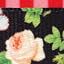 Rose Black