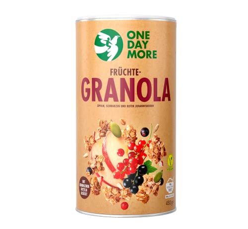 OneDayMore Früchte Granola | 450 g Viele Früchte Granola Müsli Frühstück | Frühstücksflocken Vegan 100% Natürlich | Knuspermüsli Ohne Palmöl Zuckerzusatz Salt Cover
