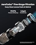 eufy Robot Vacuum 3-in-1 E20,with Versatile Stick and Handheld Vacuum Cleaner Combo,Self Emptying Up to 75 Days,Max 30,000Pa,Smart Obstacle Avoidance,Pro-Detangle,Ideal for Carpet,Crevices,Stairs - Image 4