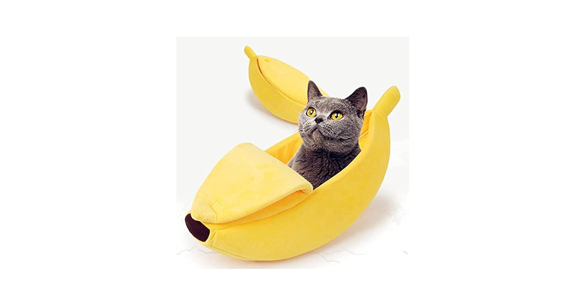 バナナ猫 61PW-Tl210L._UF350,350_QL50_.jpg