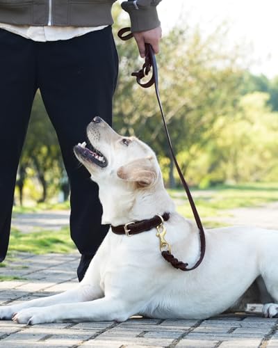 Joytale Leather Dog Lead, Genuine Cowhide with Brass Hook, Heavy Duty Leather Leads for Large Medium Dogs(Brown, 180cm×2cm) - Image 2