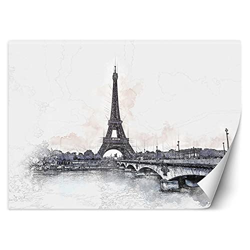 Carowall Papel Pintado París Francia Torre Eiffel 254x184 cm Gris Decoración De Pared Fotomural Decorativo Murales Comedores Salones Habitaciones Francia Ciudad Sena Puente Cover