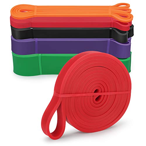 WENFENG 5-Set Pull Up Resistance Bands - Heavy Duty Exercise Assist Bands - Mobility & Powerlifting Bands, Extra Durable Elastic Workout Fitness Bands Perfect for Body Stretching, Resistance Training