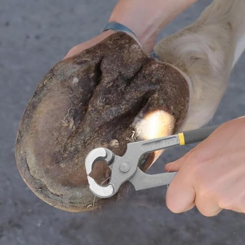 Farrier Tools Nippers - 8x3in Steel Hoof Nipper, Chrome Vanadium Trimming Cutter, High Carbon Hardened Edge Shoe Repair Equipment | Professional Farrier Nipper,for Use As A Nutcracker - 1