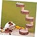 Sosoport Parrot Springboard Ladder Wood Material Hamster Ladder Accessory for Climbing St