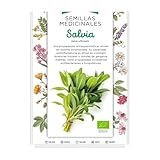 Semillas Medicinales - Salvia - Semillas listos para plantar.