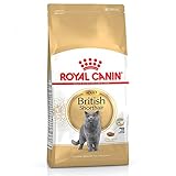 Royal Canin Feline British Shorthair, 1er Pack (1 x 10 kg Beutel) - Katzenfutter
