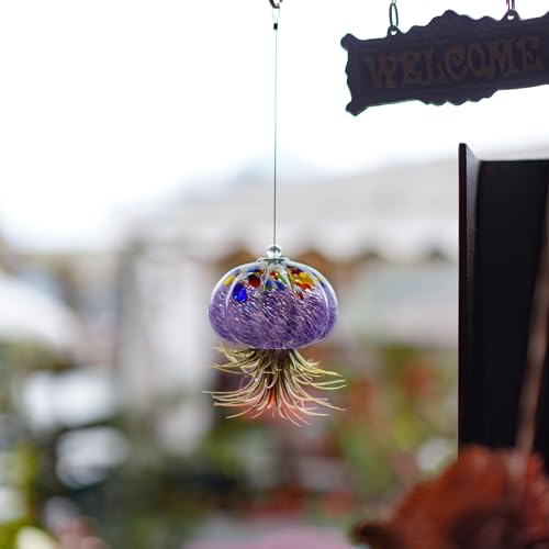 H&D Hyaline & Dora Hanging Hand Blown Art Glass Jellyfish Air Planter Terrarium Decor For Garden Porch Windowsill  thumb #7