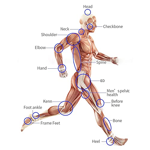 XLST Extracorporeal Shockwave Therapy Machine Muscle Pain Relief Massager ED Shock Wave Treatment for Erectile Dysfunction And Anti-Cell-Ulite, Plantar Fasciitis - 8