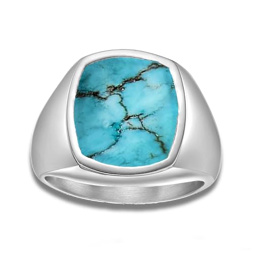 Genuine Turquoise Ring for Men,925 Sterling Silver Vintage Real Black onyx Created Sapphire Gemstone Pinky Thumb Western Ring for Dad Father Husband Simple style Lover, Size 6-14