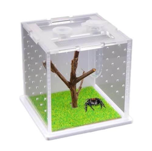  JS AN甠 􍩒n ze P[W P[X ob^