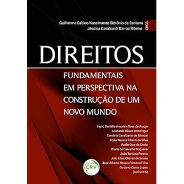 Capa do livro Direitos Fundamentais em Perspectiva na Construção de um Novo Mundo