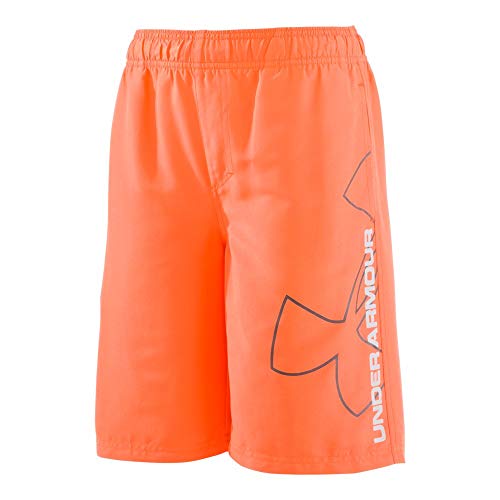 Under Armour Boys' Volley Fashion Swim Trunk