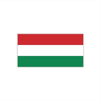 30 Sheets Hungary Flag Temporary Tattoos Fans Face Tattoo Stickers for Adults Kids Group Activity Props