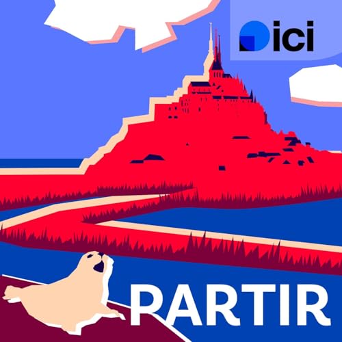 Mont Saint-Michel : nos conseils pour partir en week-end et observer phoques et oiseaux