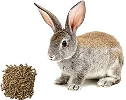 Kapoor-pets-Rabbit-Food-045-kg-Dry-New-Born-Adult-Young-Rabbit-Food