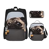 Bolsa de almuerzo Características del producto: Dimensiones: 10.4x8x4.5 pulgadas. Este bolso está hecho de tela Oxford, que es resistente y duradera.El forro es una película de aluminio aislante con algodón acolchado en el medio, que tiene un buen efecto de conservación del frío y el calor. Cómodo diseño portátil, el forro interior es de algodón EVA y PE, fácil de limpiar en caso de derrames inevitables.