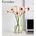FUNSOBA Clear Glass Flower Vase with Gold Mouth for Centerpieces Home Wedding Decoration (1, Large 5.2
