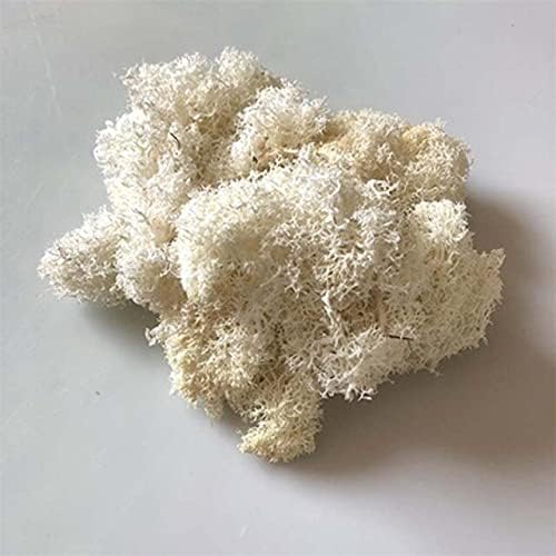 Zamihalaa 30g/Bag Dry Natural Fresh Moss,Real Eternal Dried Grass for DIY Decorative Preserved Flowers Accessories,Artificial Turf,Bonsai