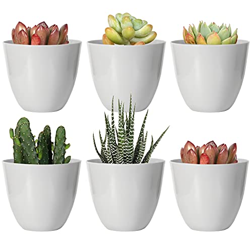 Youngever 10 Pack 8CM Mini Plastic Planters Indoor Flower Plant Pots