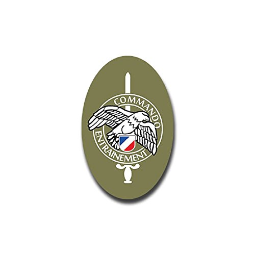 ALFASHIRT Commando Entrainement Eagle Sword France Army Coat of arms Military Badge Emblem for Audi A3 BMW 3 VW Golf GTI Mercedes (4x7cm) - Sticker Wall Decoration