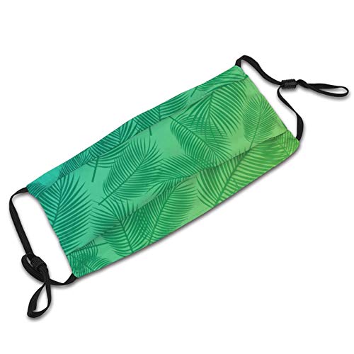 Yanfind – Folhas de palmeira de verão com cultura tropical havaiana tropical, floresta tropical, sem