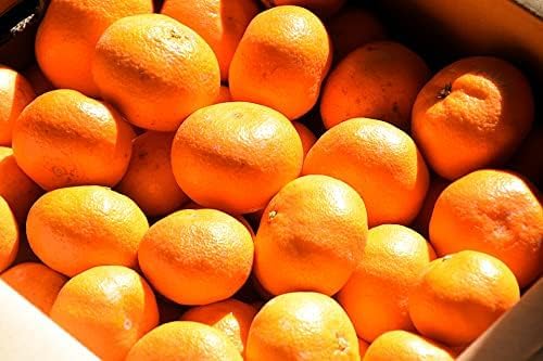 �a�̎R �݂��� �Î_���ς����킢 �����x ��؃\�����G����^�����Â� ���T�C�YSS����4L�s���� ������ �����p�ł͂���܂���B (10kg)