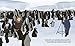 Little People Big Dreams David Attenborough /anglais