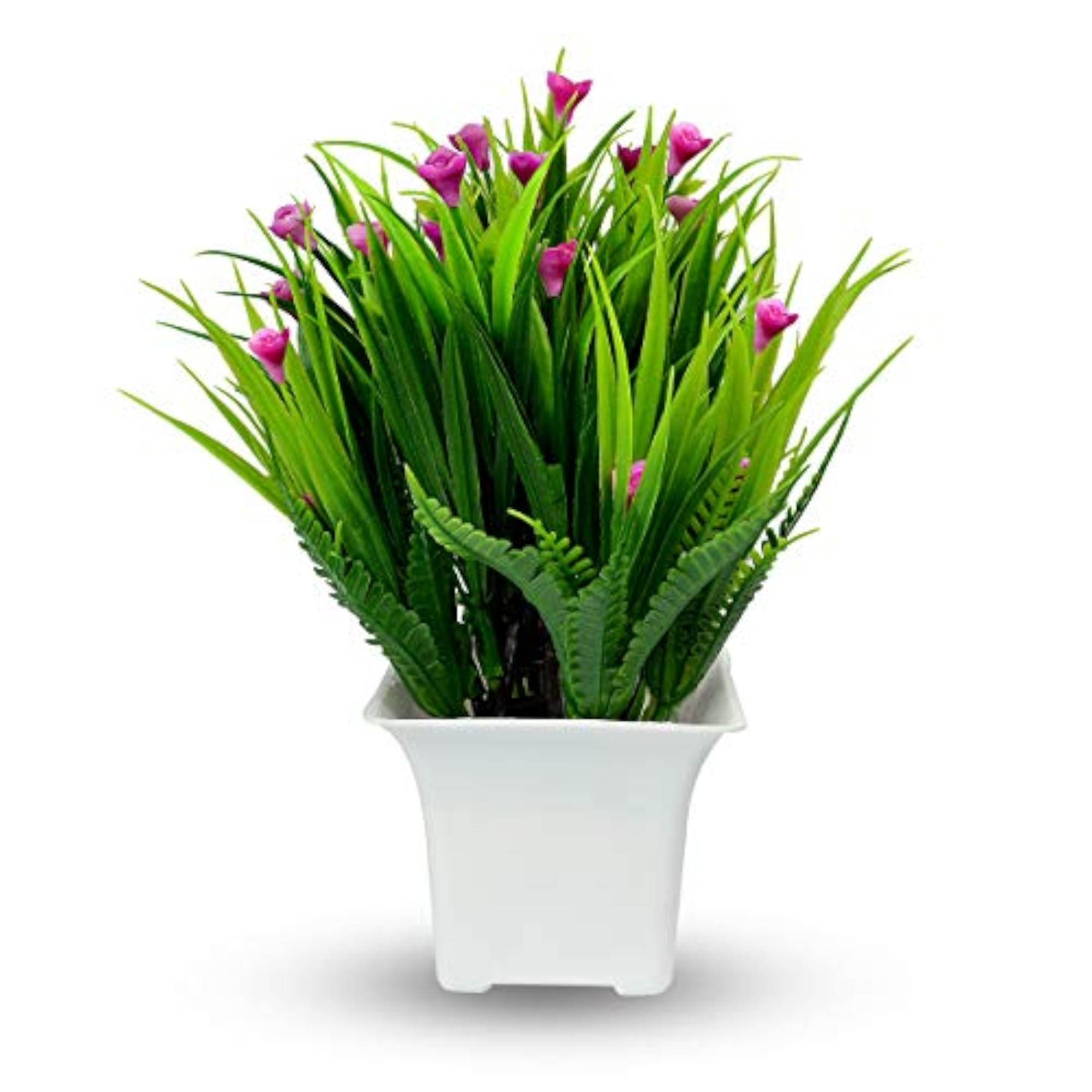 Bonsai Plants for Home Indoor Decor with Pot