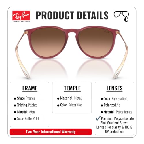 Image of Ray-Ban RB4171 ERIKA CLASSIC Phantos Shaped Sunglasses for Women with Official RAYBAN Eyewear Kit