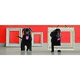Emotion Black Puppies Bookmark