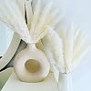 30 Pcs White Pampas Grass ,17 inch/45 cm Natural Dried Pampas Grass Branches Decor for Home Kitchen Garden Party…