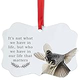 Telescope Goldfish Christmas Ornament Its Not About What We Have in Life Pet Memorial Quote Benelux Aluminum Xmas Tree Decor Keepsake Gifts for Telescope Goldfish Lovers