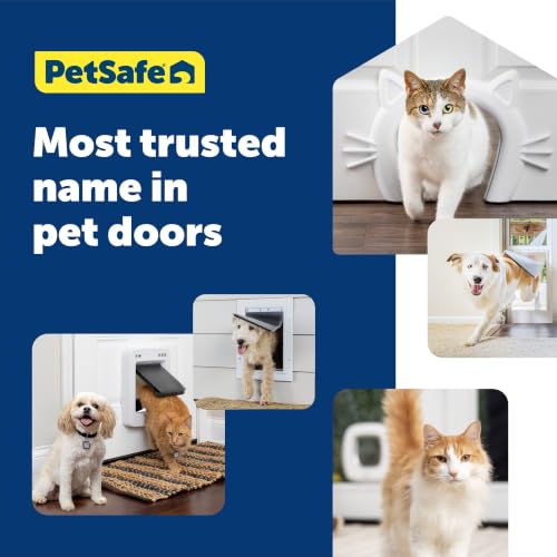 PetSafe Kunststoff-Tür mit weicher, getönter Klappe – kleine, mittelgroße und große Tür für Hunde und Katzen, XL, Extra-Large, weiß